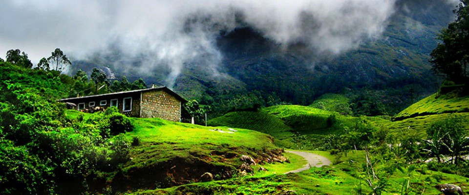 Munnar Taxi, Taxi Service in Munnar, Kochi to Munnar, Munnar Call Taxi, Munnar Sightseeing